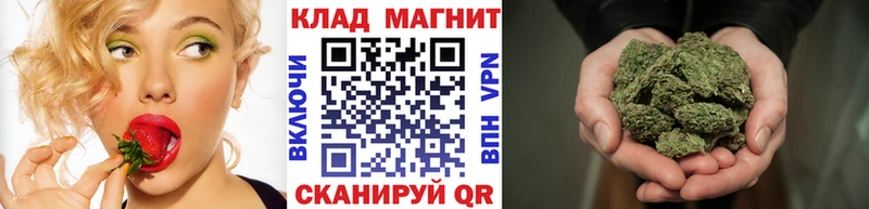 Магазин наркотиков Краснознаменск Гашиш СК Кокаин Мефедрон Конопля