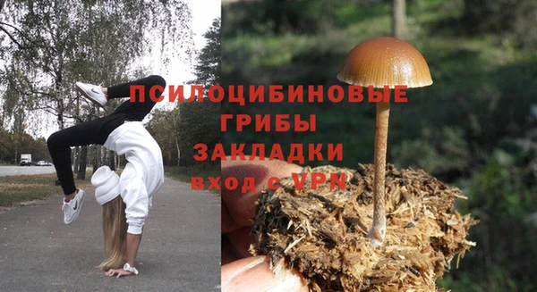 бошки Алексин