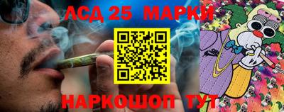сатива Кимры