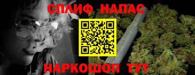 сатива Кимры