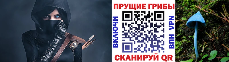 Галлюциногенные грибы мицелий  где купить наркоту  Краснознаменск 