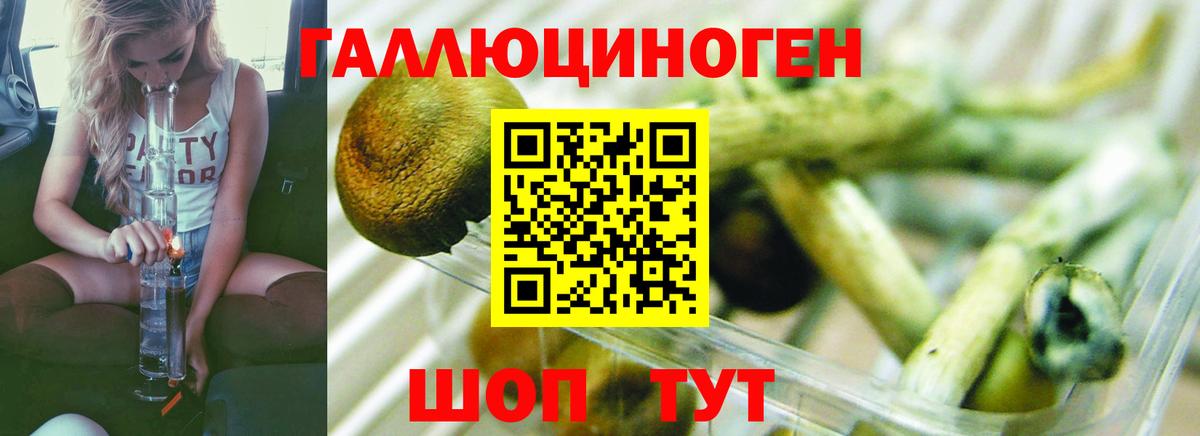 A PVP СОЛЬ кристаллы  Вход с VPN  Канабис  Codein  Мефедрон кристаллы  Кетамин  Краснознаменск  ТГК  COCAIN  Гашиш 